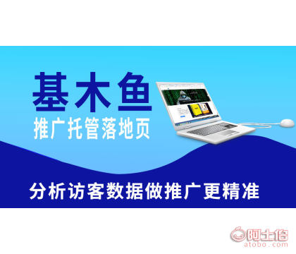 上海基木鱼推广托管 上海B2B企业网络外包服务  上海添力
