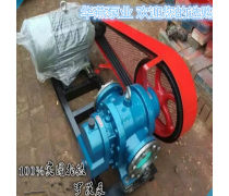 �A燕�S家特�r供��LC-18/0.6高粘度�_茨油泵�_茨�X�泵