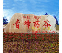 赣州明石景观石，500余块景观石现货，赣州景观石刻字